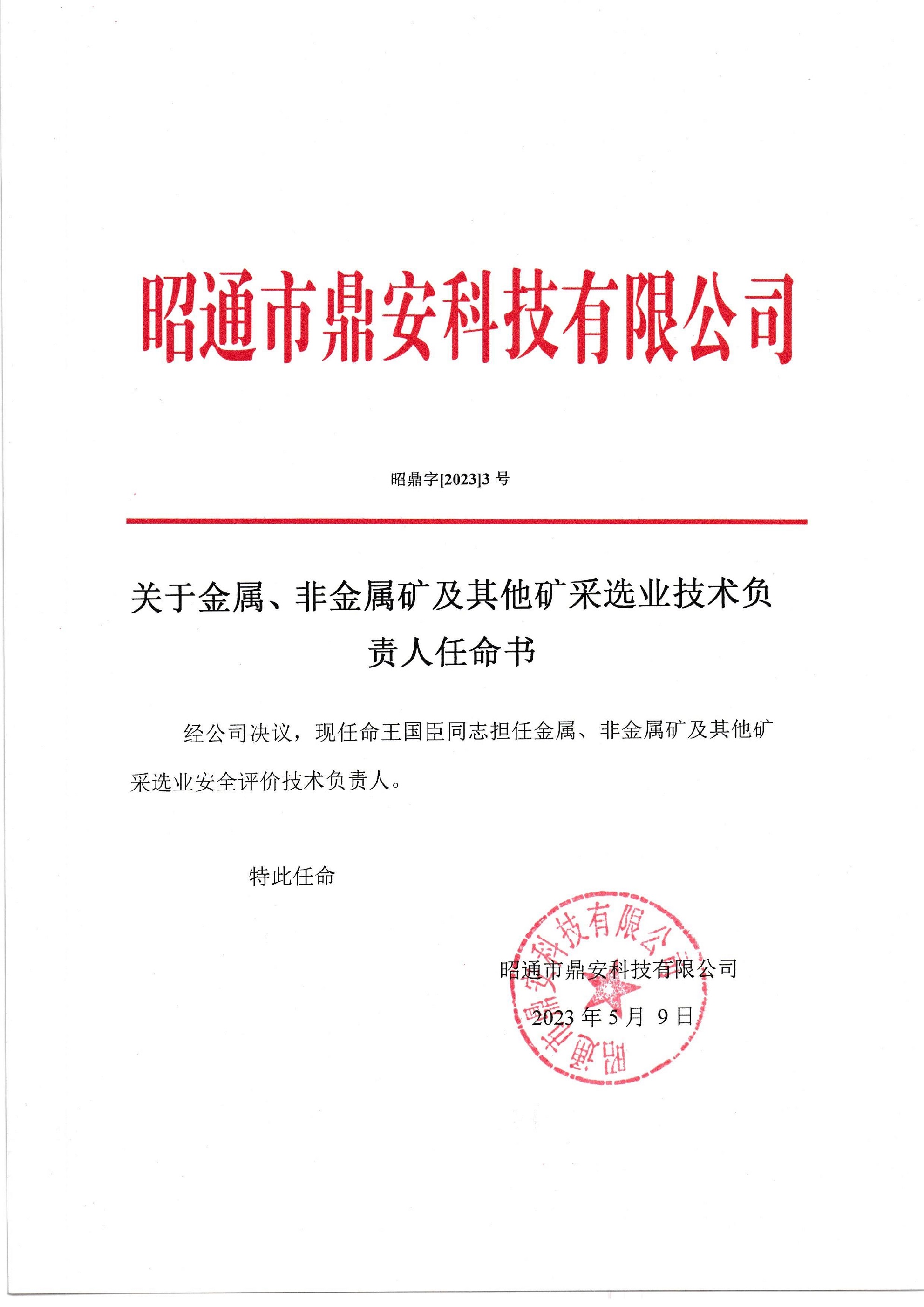 關(guān)于金屬、非金屬礦及其他礦采選業(yè)技術(shù)負(fù)責(zé)人任命書-王國臣_2.jpg